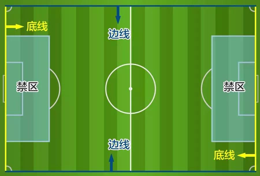 足球小白入门知识赌球,足球新手必看视频