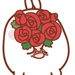 端午出行最新信息,端午将至这些出行提示请收好