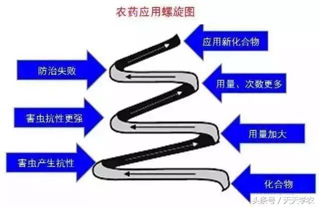 柑橘锈壁虱危害果实到几月,柑橘的虫害锈壁虱有哪几种特效药