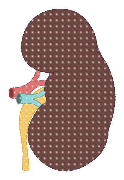 得了高血压吃哪两样东西可以解决,有高血压平时一定要吃这些