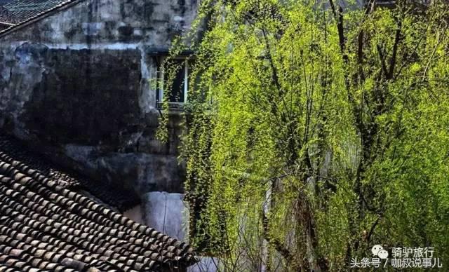 江苏古镇景点排名前十名,江苏最全古镇清单