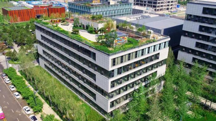 沣西新城绿色屋顶,沣西新城绿化项目
