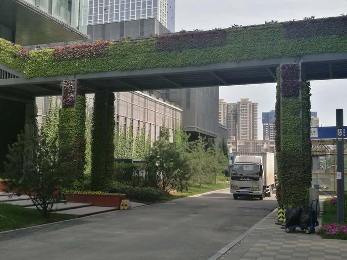 沣西新城绿色屋顶,沣西新城绿化项目