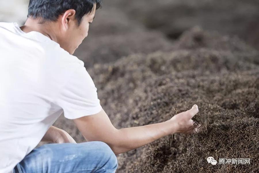 阿龙家的腾冲茶：在那些琥珀红茶水中邂逅它的灵魂