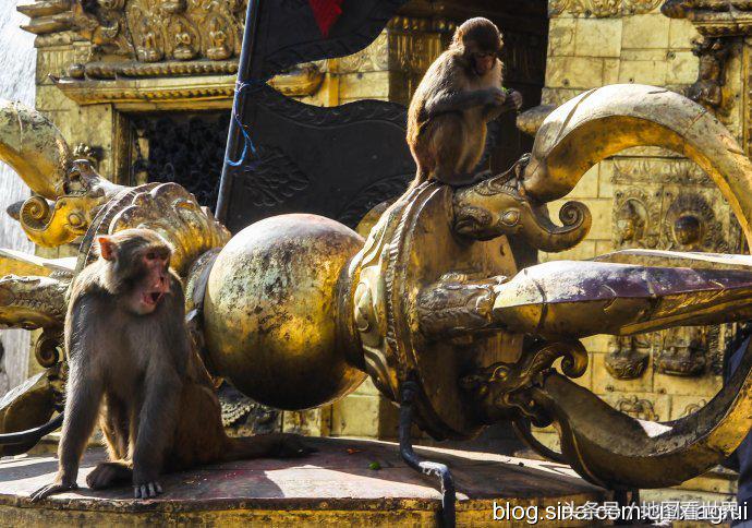 高山王国,千佛之国,佛教发源地,世界唯一非矩形*旗国**——尼泊尔