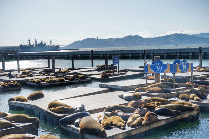 美国旧金山旅游攻略,美国西部自驾游旅游攻略