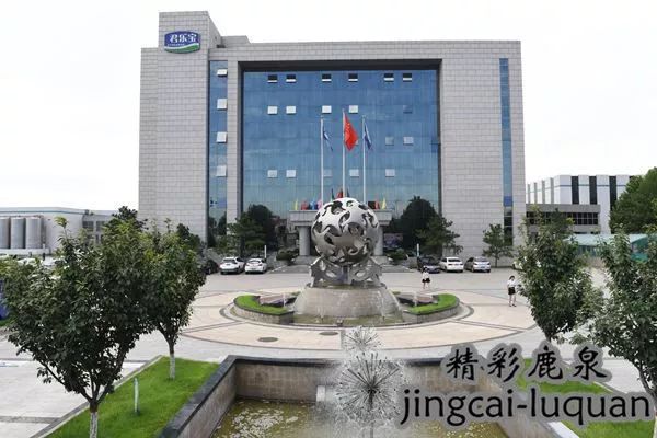 *春华胡**副总理来鹿泉了！