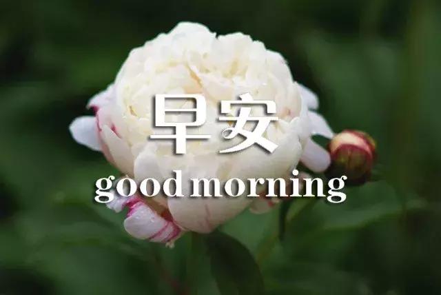 闹钟在吵早安祝福语,闹钟在响喜鹊在叫