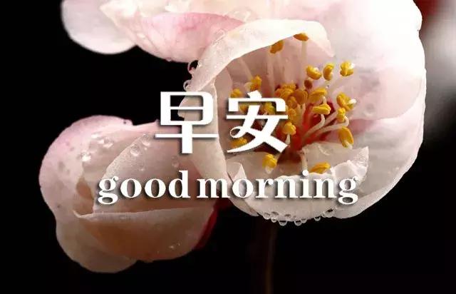 闹钟在吵早安祝福语,闹钟在响喜鹊在叫