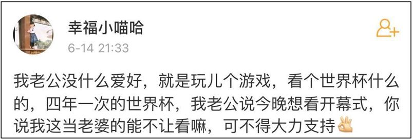 世界杯解说员白岩松,世界杯央视解说惹争议