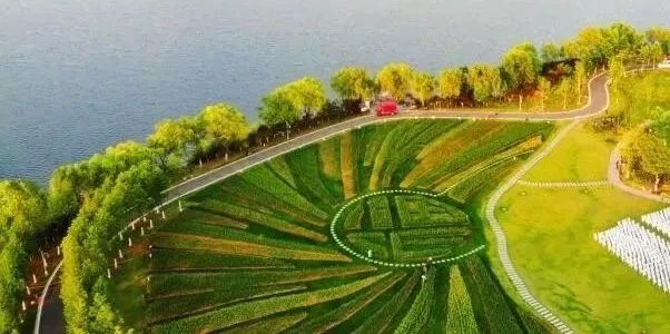 来赏花郁金香花展已开启,春日踏青花博会