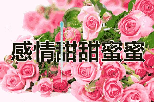 端午节到了致所有对我好的人,端午节致我最在乎的人图片