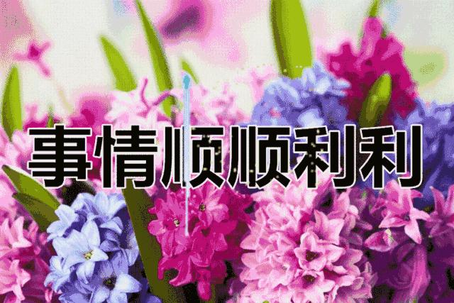 端午节到了致所有对我好的人,端午节致我最在乎的人图片