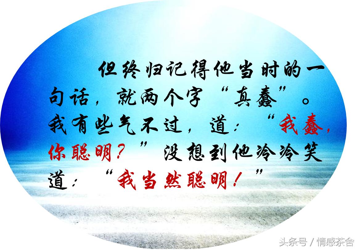 他总是骂我蠢我该怎么怼回他,当他骂我的时候我该怎么办