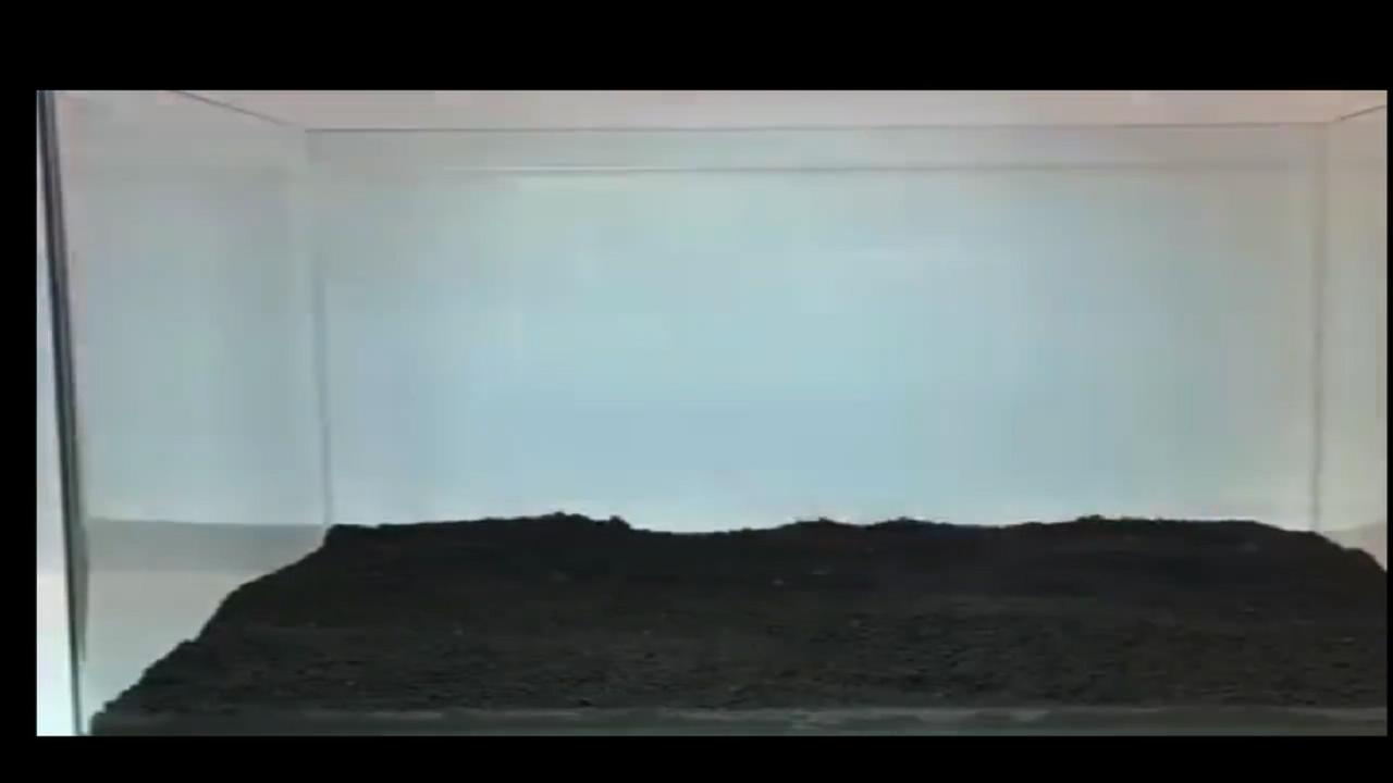 草缸造景以后加水很浑浊,鱼缸造景草缸教程步骤讲解