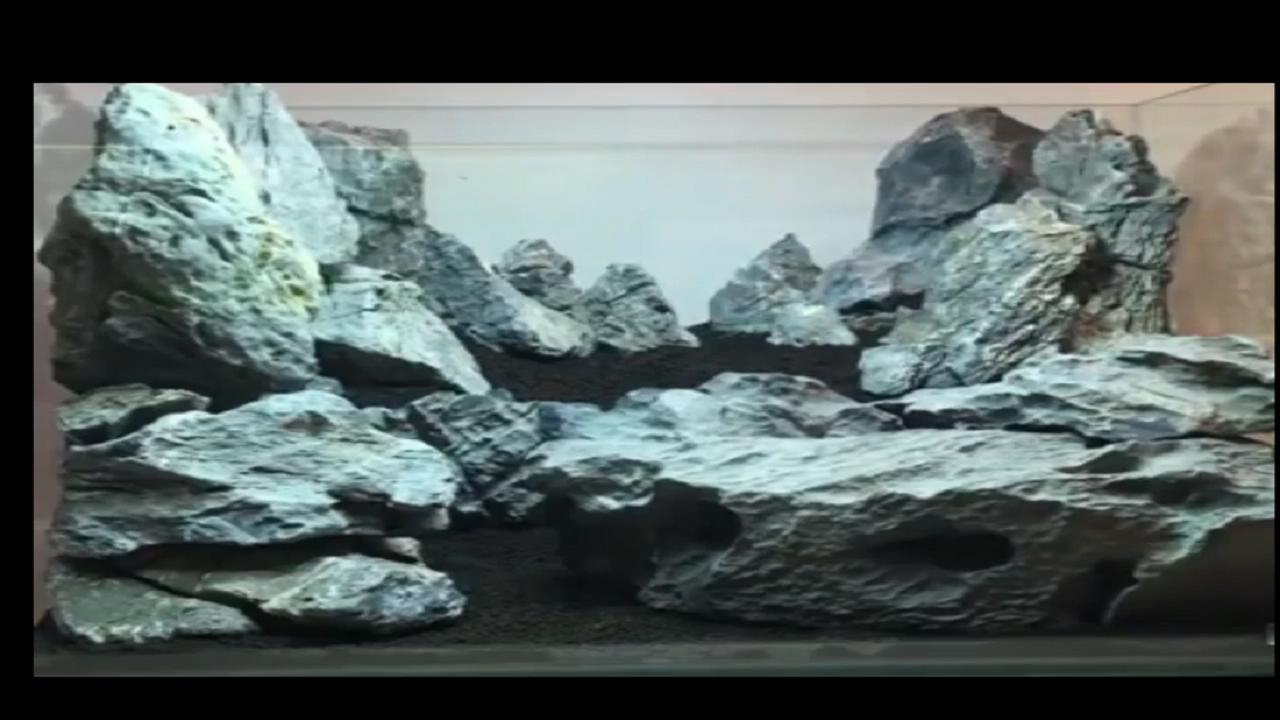 草缸造景以后加水很浑浊,鱼缸造景草缸教程步骤讲解