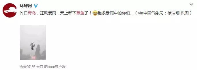 谁说伪球迷预测不了真胜利？是时候让你的猫狗拉你一把！