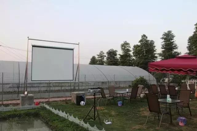 酒吧青白江,酒吧世界杯完整版