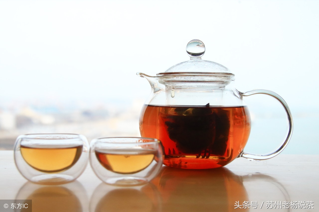 老杨说茶最新视频,老杨说茶记全集