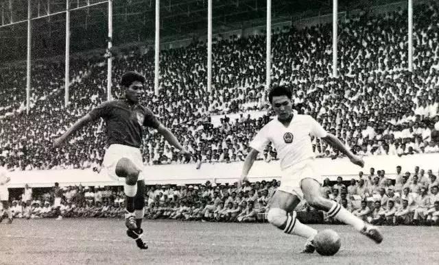 世界杯来了完整视频,世界杯来了完整版