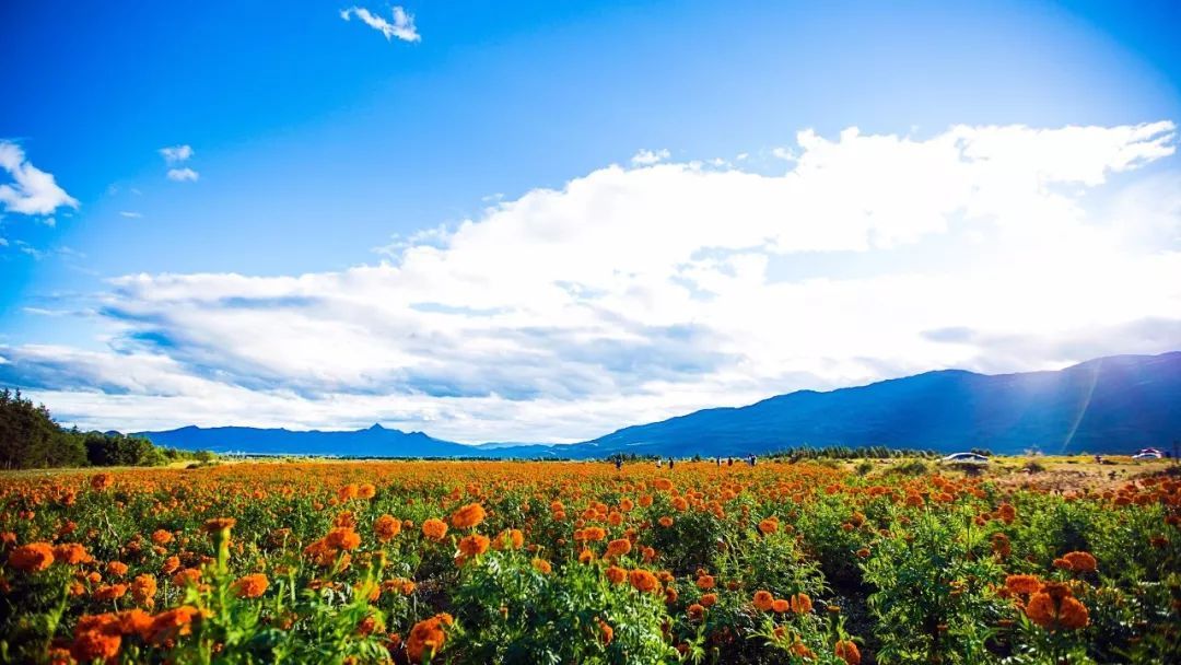 电动汽车自驾游详细攻略,自驾有哪些乐趣玩法