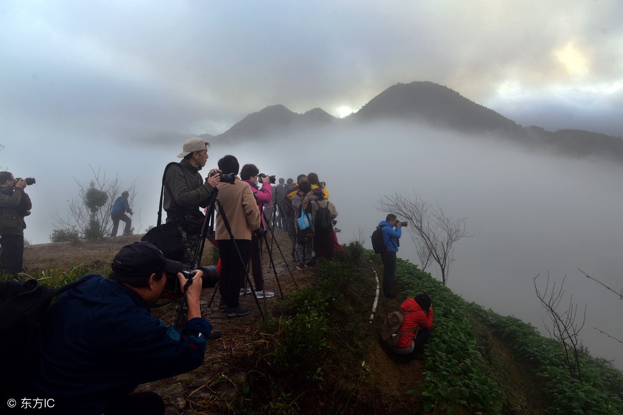 地支深度解析上,地支五行详细解析