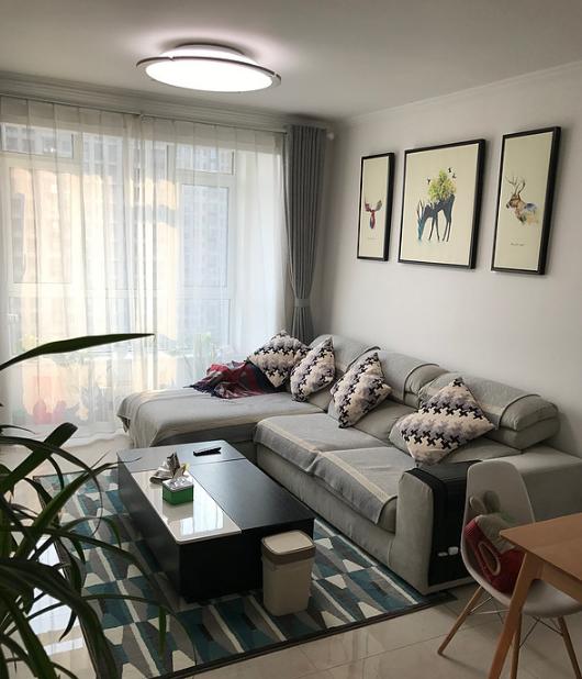 新房绿萝养得很好是没有甲醛吗,绿萝生长旺盛是家中有甲醛吗