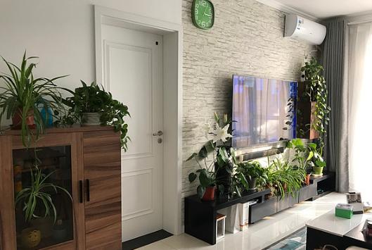 新房绿萝养得很好是没有甲醛吗,绿萝生长旺盛是家中有甲醛吗