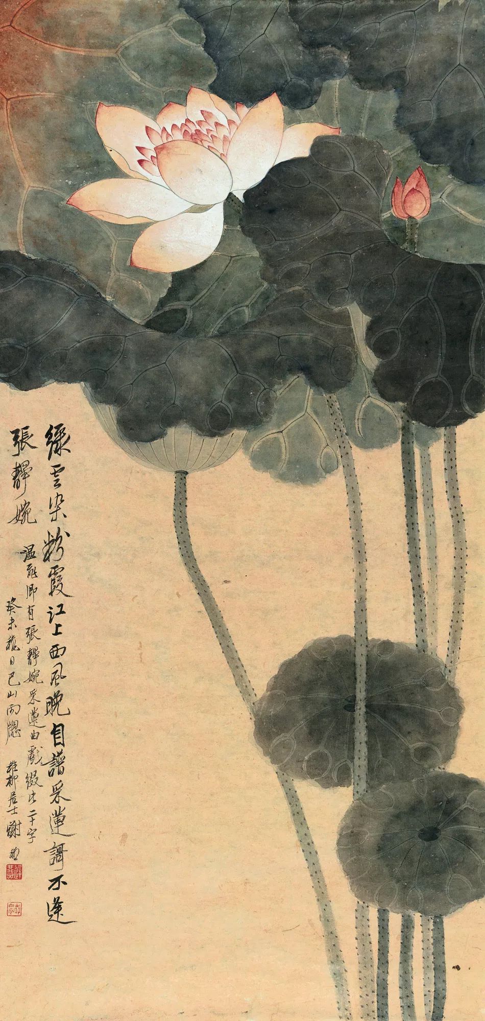 帽哥最新直播回放,帽哥直播回放完整版合集