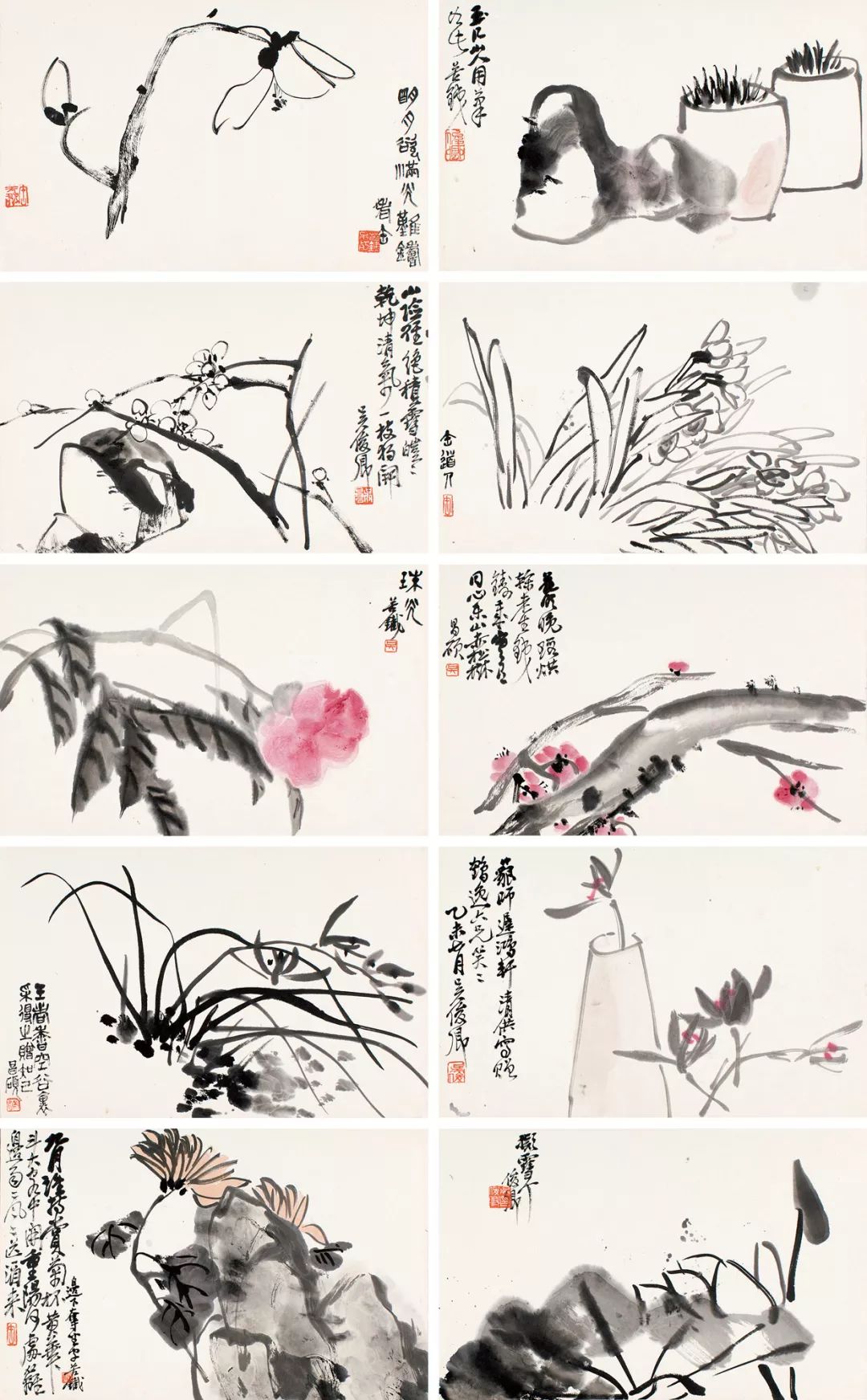 帽哥最新直播回放,帽哥直播回放完整版合集