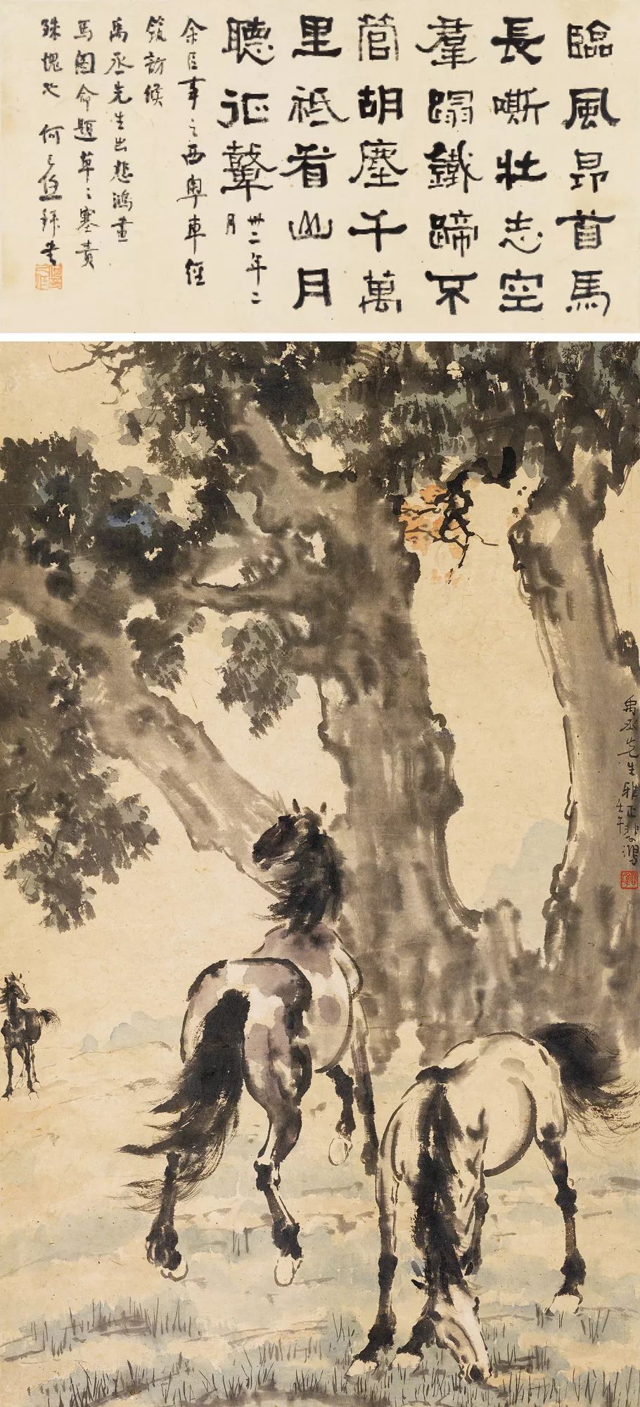 帽哥最新直播回放,帽哥直播回放完整版合集