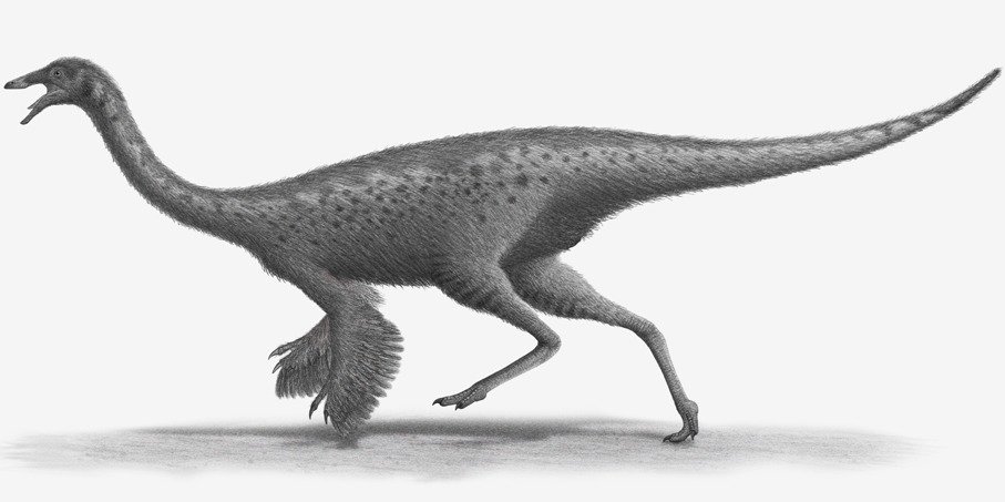 侏罗纪时代哪个恐龙最厉害,侏罗纪时代的恐龙化石