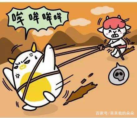 金牛座为什么那么钻牛角尖,金牛座男生喜欢钻牛角尖吗