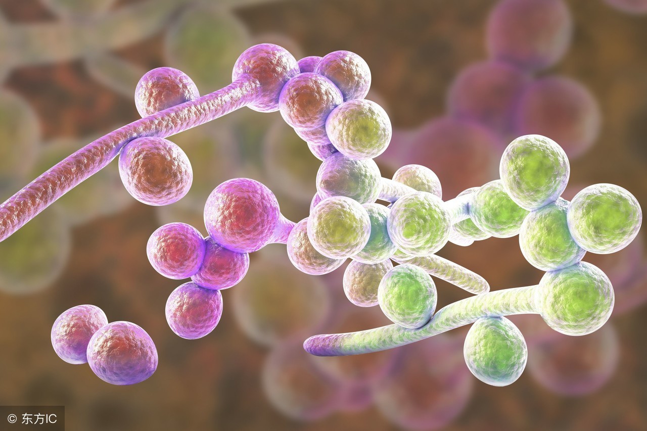 尿道瘙痒刺痛但是不流脓,尿道口瘙痒伴少量出血是怎么回事