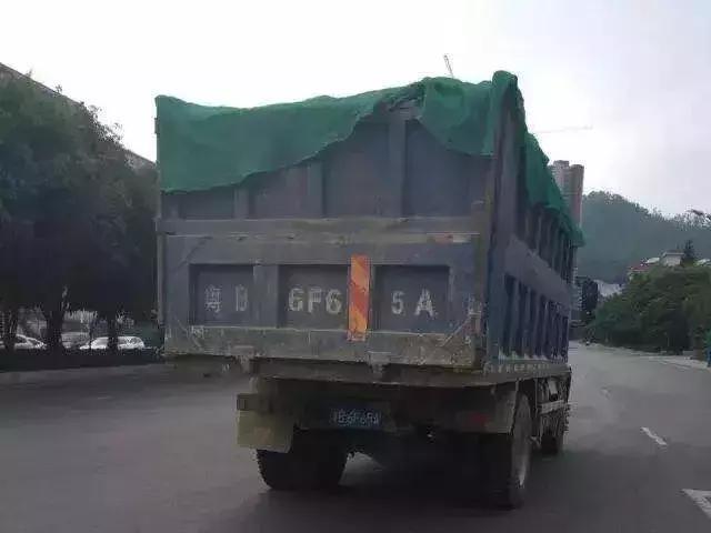 小金刚最近新消息,小金刚今天最新消息