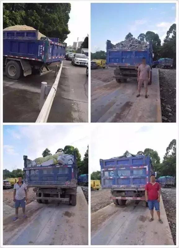 小金刚最近新消息,小金刚今天最新消息