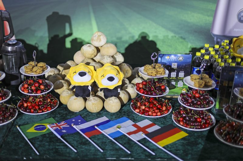 苏宁侯恩龙,苏宁侯恩龙双十一