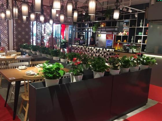 川沙刘一羊,刘一羊餐饮管理上海有限责任公司