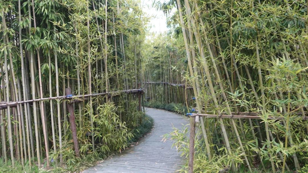 合肥吃住,我的合肥