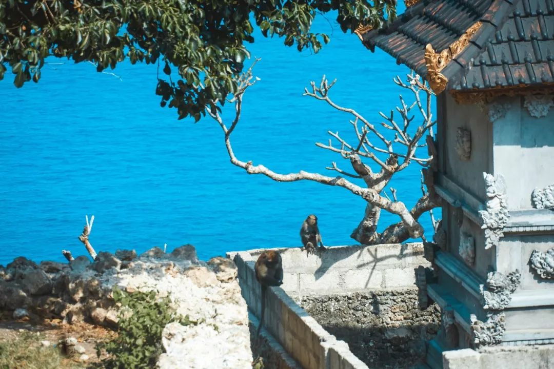 巴厘岛为什么那么多人去玩,巴厘岛是否值得去