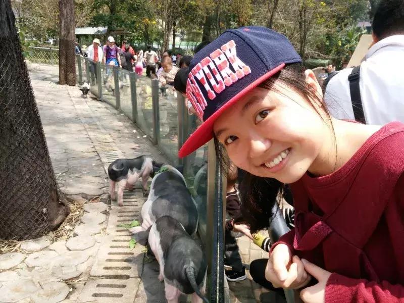 华南农业大学考研成功率有多高,华南农业大学考研最新消息