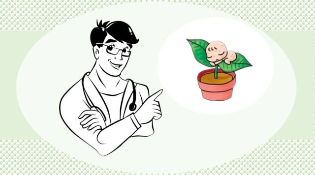 蚕豆病患者误食蚕豆怎么办,蚕豆病误服泰诺林怎么办