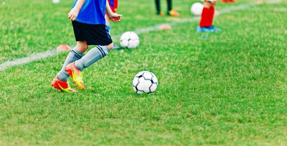 世界杯来了意大利,世界杯输赢表在哪里看