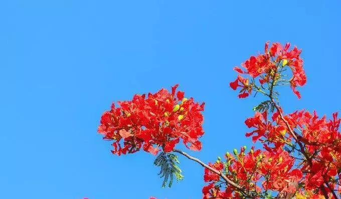三天两夜1200rmb双人穷游厦门攻略,厦门旅游攻略美食住宿必去