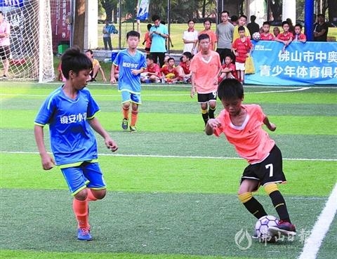 广东体育一周资讯回顾