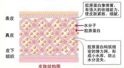 几十块钱买赫莲娜黑绷带,黑绷带面霜赫莲娜真的好用吗