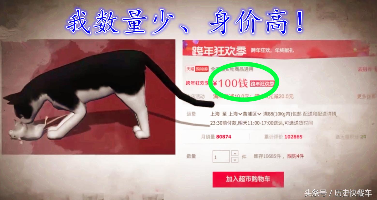 喵星人的变化史,喵星人养猫13年经验分享