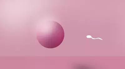 备孕的准妈,刚怀孕的准妈妈有什么反应