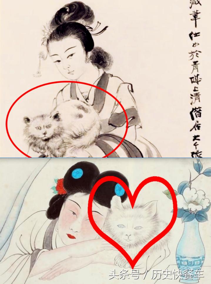 喵星人的变化史,喵星人养猫13年经验分享