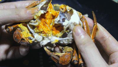 慎点内容完整版,慎点是什么